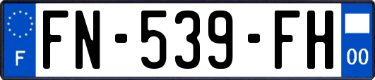 FN-539-FH