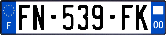 FN-539-FK