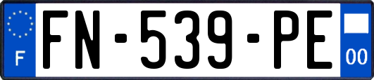 FN-539-PE