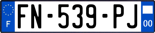 FN-539-PJ
