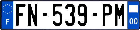 FN-539-PM