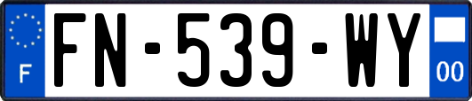 FN-539-WY