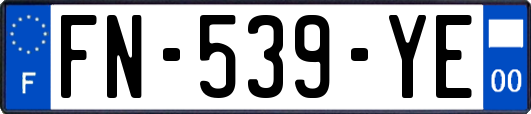 FN-539-YE