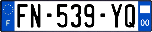 FN-539-YQ