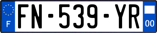 FN-539-YR