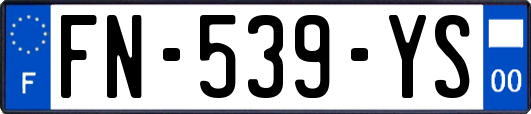FN-539-YS