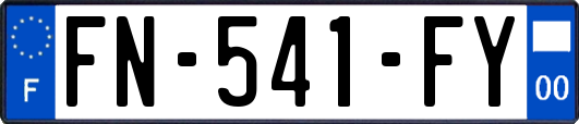 FN-541-FY