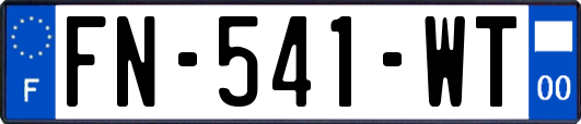 FN-541-WT