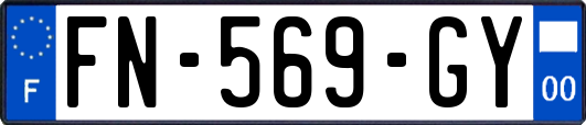 FN-569-GY