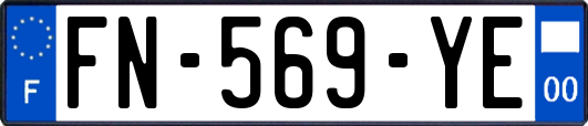 FN-569-YE