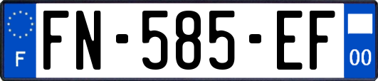 FN-585-EF