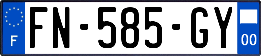 FN-585-GY