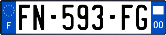 FN-593-FG