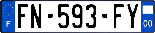 FN-593-FY