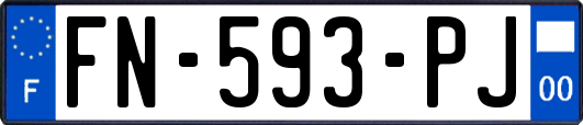 FN-593-PJ
