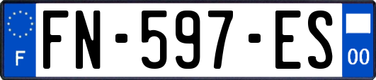 FN-597-ES