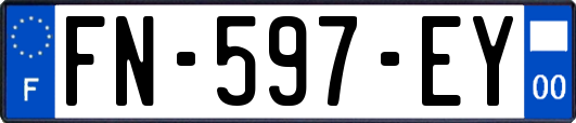 FN-597-EY