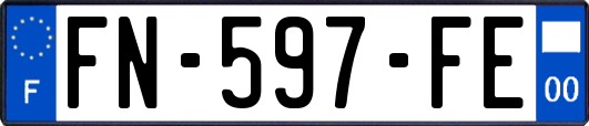 FN-597-FE