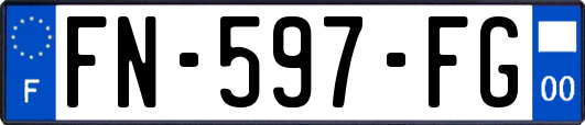 FN-597-FG