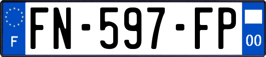 FN-597-FP
