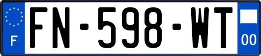 FN-598-WT
