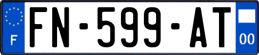 FN-599-AT