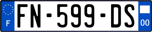 FN-599-DS