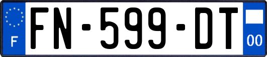 FN-599-DT