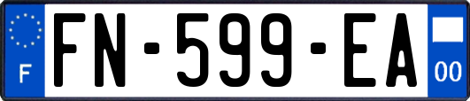 FN-599-EA