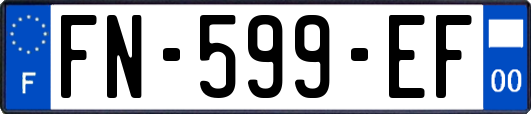 FN-599-EF