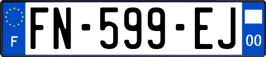 FN-599-EJ