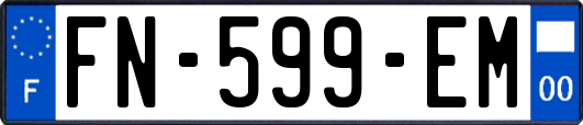 FN-599-EM