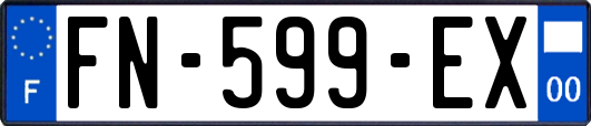 FN-599-EX