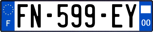 FN-599-EY
