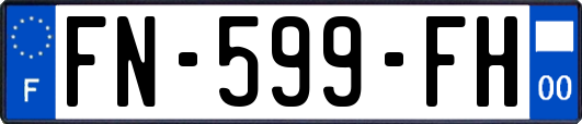 FN-599-FH