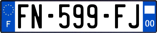 FN-599-FJ