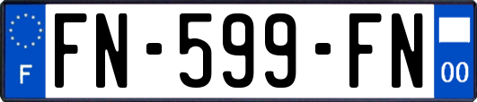FN-599-FN