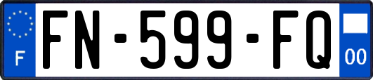 FN-599-FQ