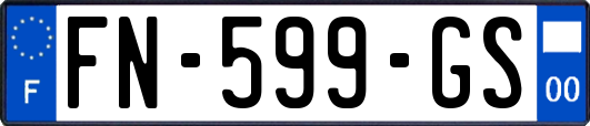 FN-599-GS