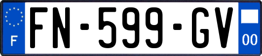 FN-599-GV