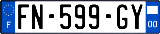 FN-599-GY