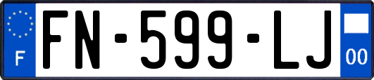 FN-599-LJ