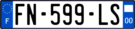 FN-599-LS