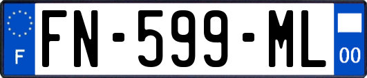 FN-599-ML
