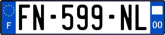 FN-599-NL