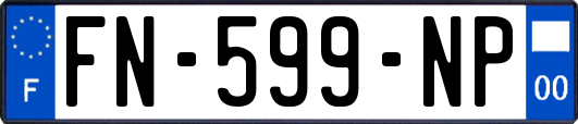FN-599-NP
