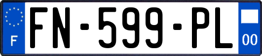FN-599-PL