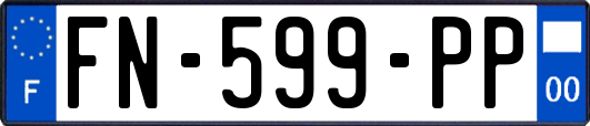 FN-599-PP