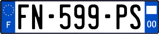 FN-599-PS