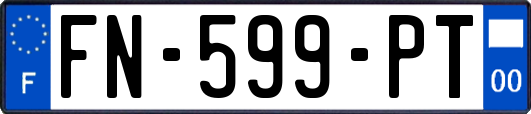 FN-599-PT